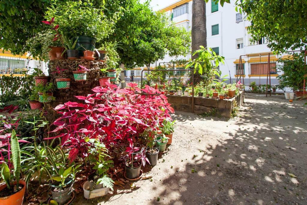 Apartamento A Los Pies Del Alcazar Севілья Екстер'єр фото